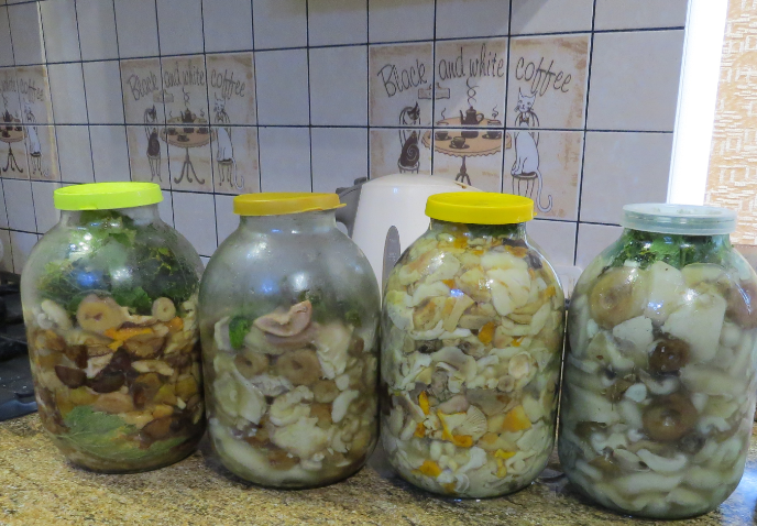 ТЕМА ГРИБНЫХ ЗАГОТОВОК- ОДНА ИЗ ЛЮБИМЫХ НА КАНАЛЕ. Фото ЛИДИИ БАМ.