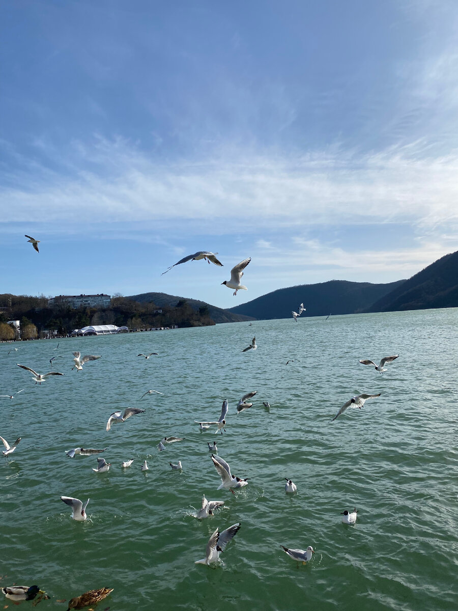 Фото из личного архива. Озеро Абрау.