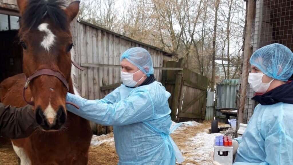 ФОТО: Брянской ветстанции