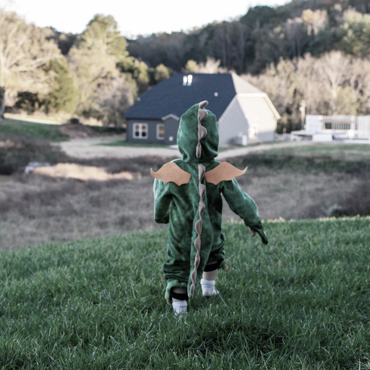 Фото: Taylor Kopel