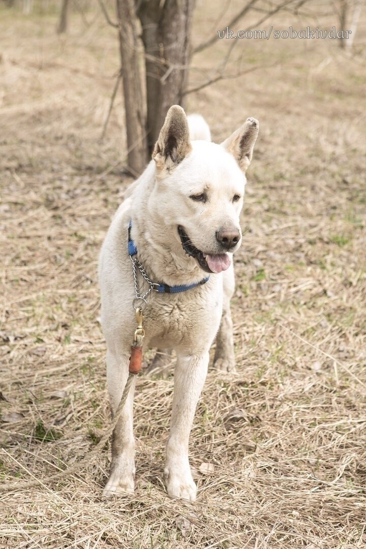 Для просмотра остальных фотографий нажмите ">".