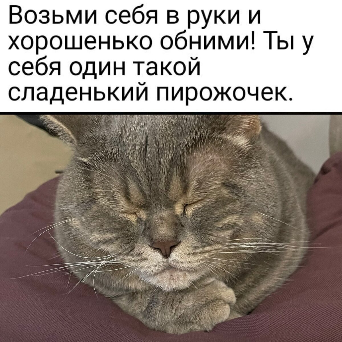 Пирожочек?