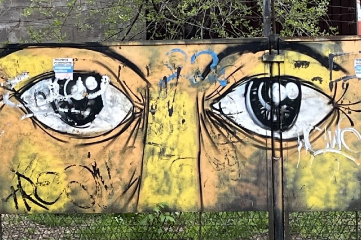    Юрист рассказал, за какие надписи на стенах можно сесть в тюрьму