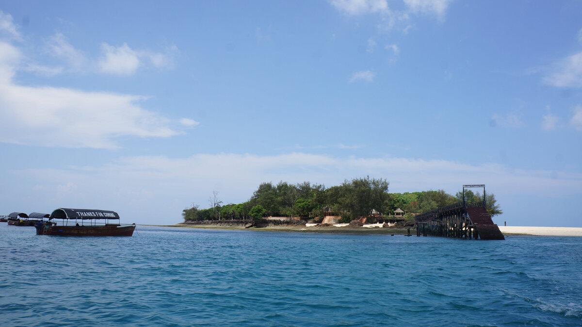 все фото автора