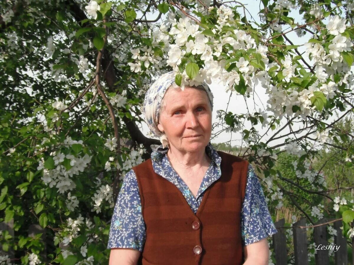 Картинка из свободных источников