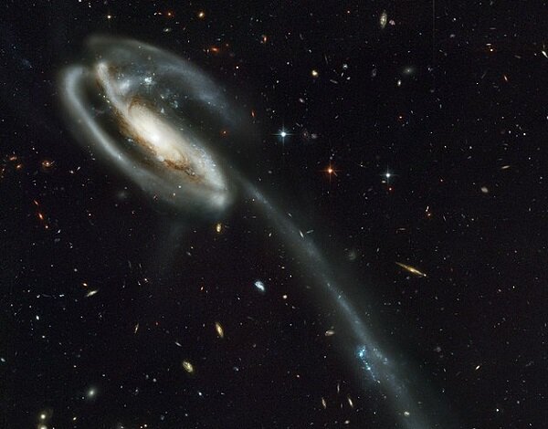 галактика головастик и ее приливной хвост