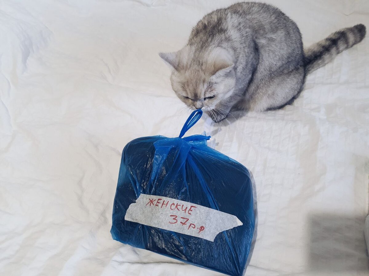 Кукусик контролирует