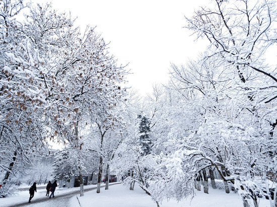     Фото: архив ПЛН