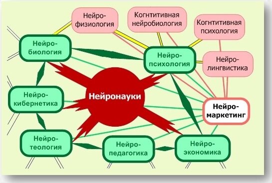 Рис. 1. Основные направления нейронаук, используемые в нейромаркетинге