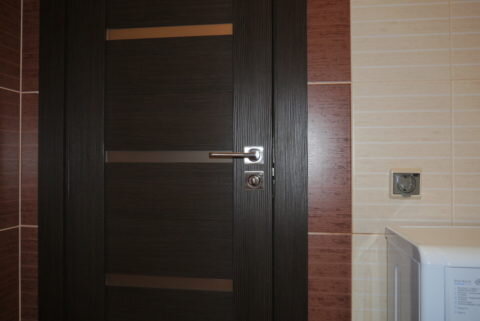  Дверное полотно для ванной из эко шпона