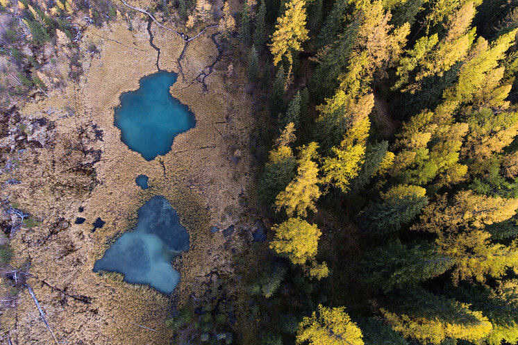 Озера недалеко от села Акташ в Улаганском районе © Кирилл Кухмарь/ТАСС