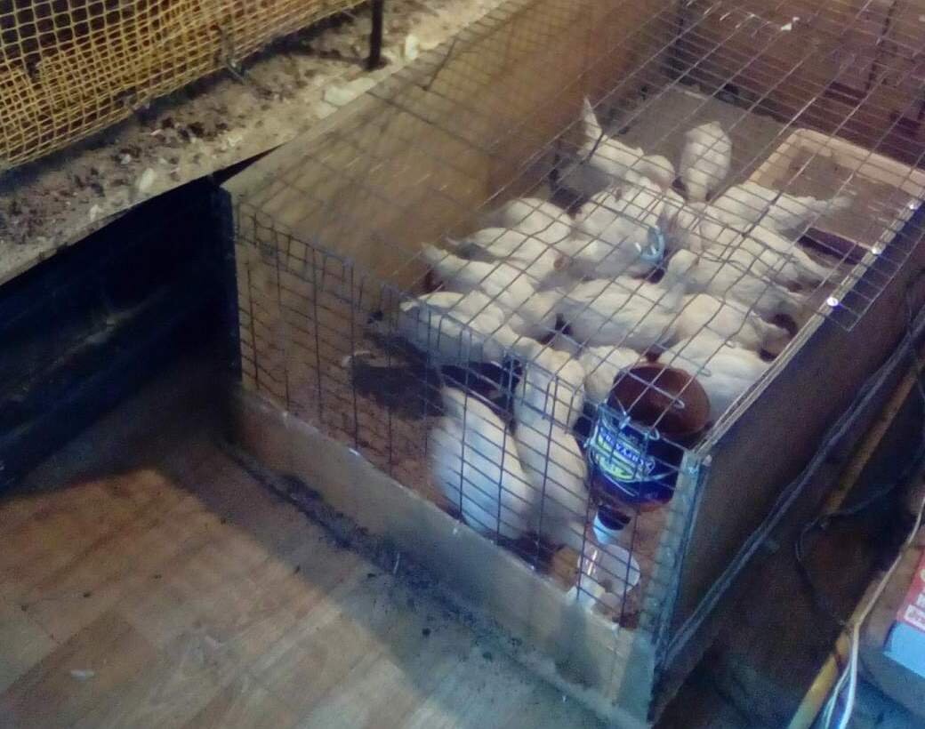 Коротко о продукте