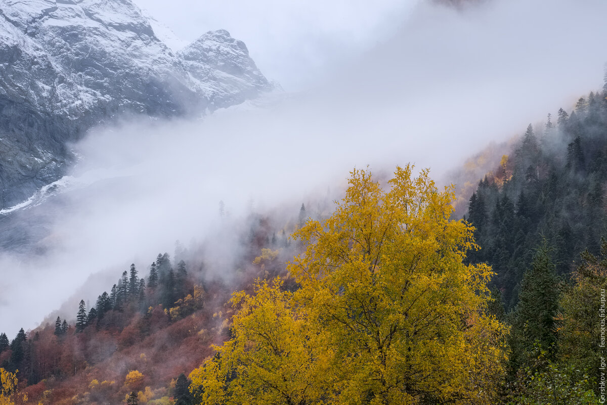 Осень в горах Кавказа