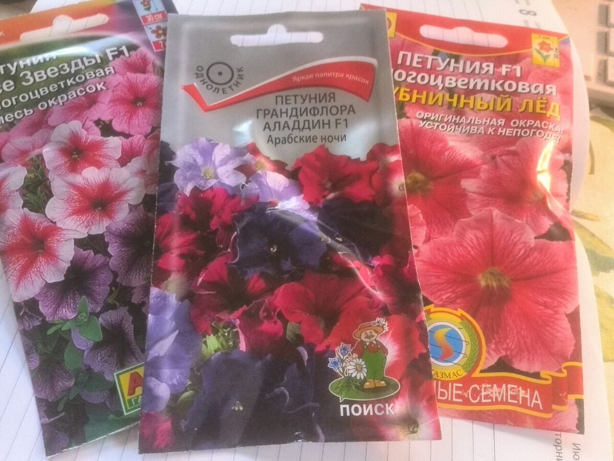 Земляника и клубника 5481613 - купить по выгодным ценам в интернет-магазине OZON