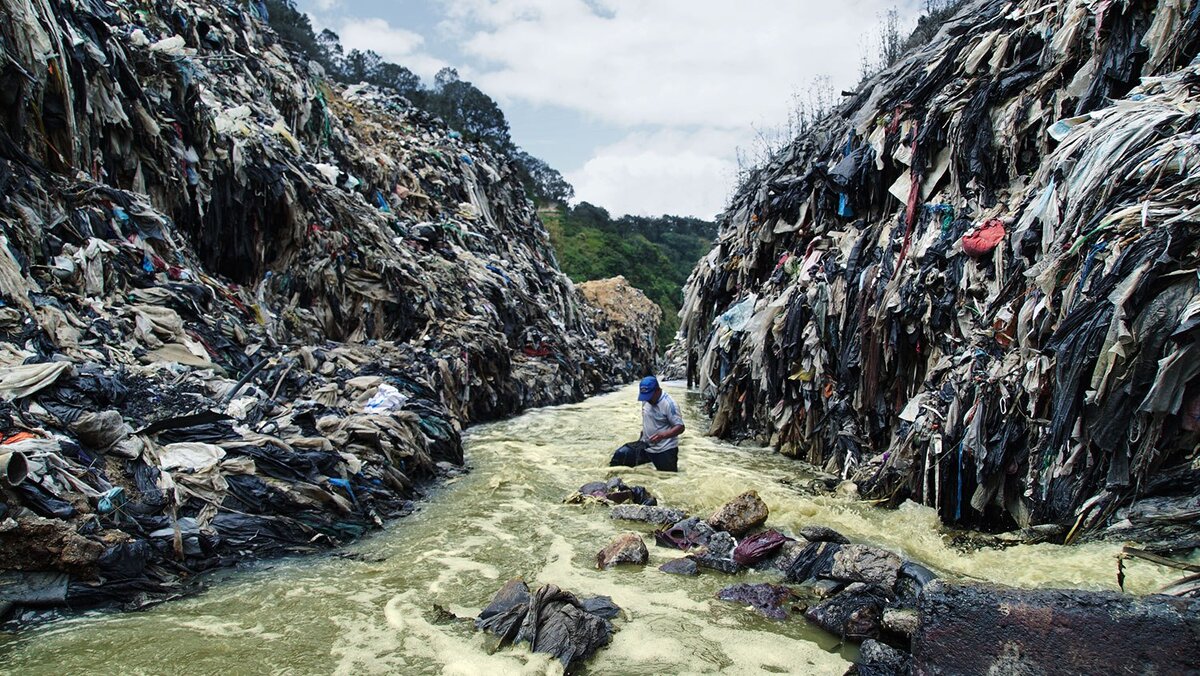 Чили экологическая ситуация. Фотообои смог. Чили землетрясение 27. Загрязнение воздуха чили. Вырубка лесов.