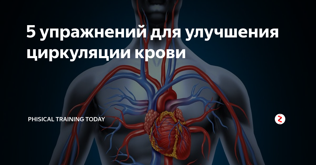 Система улучшает циркуляция. Система улучшает циркуляция