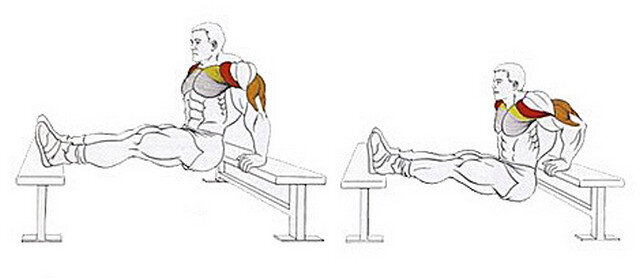 Отжимания от стула обратным хватом какие мышцы работают