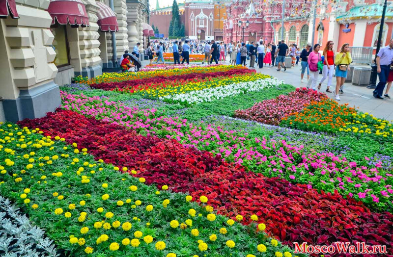 Цвета москвы. ГУМ выставка цветов. ЦУМ фестиваль цветов. Фестиваль цветов в ГУМЕ. Цветы на московских клумбах.