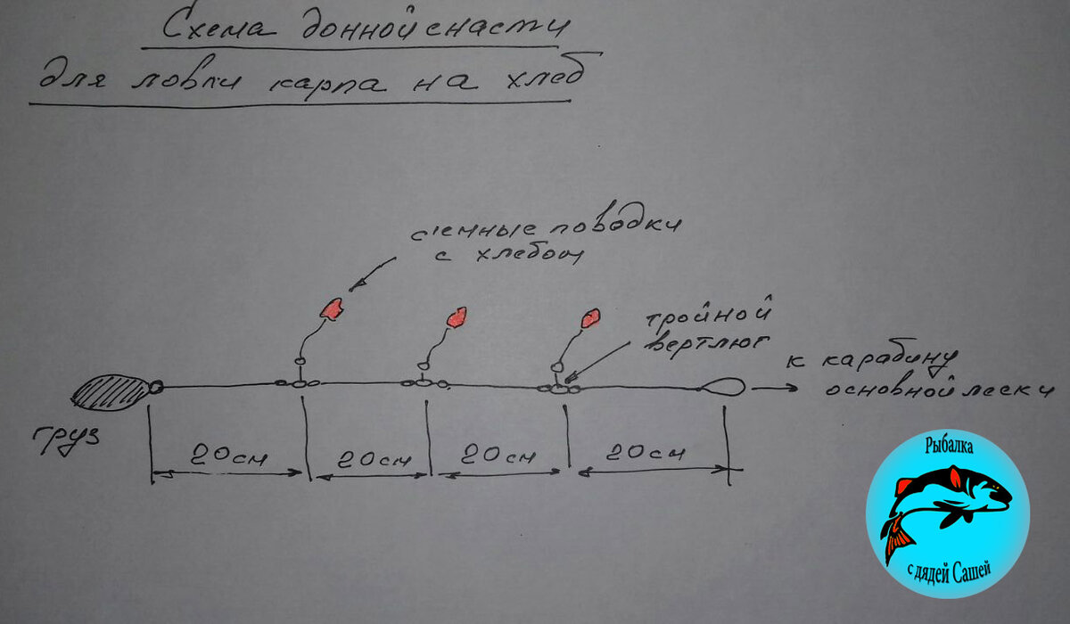 Донка на карася без кормушки схема