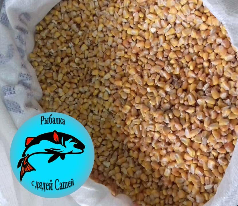 Отбираем кукурузу