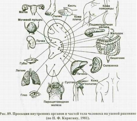 Диагностика по языку в картинках болезней человека китайская медицина