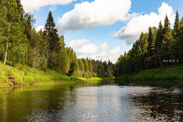 Река Мехреньга. Август, 2014