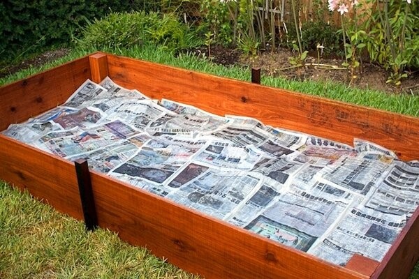 Источник фото: https://avatars.mds.yandex.net/get-pdb/964102/27011425-6a5f-4c92-83bd-1ac66c47e3c5/s1200