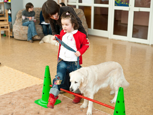Фото из источника вдохновения для этой публикации - сайта о подготовке собак-помощников www.guidedogs.ru