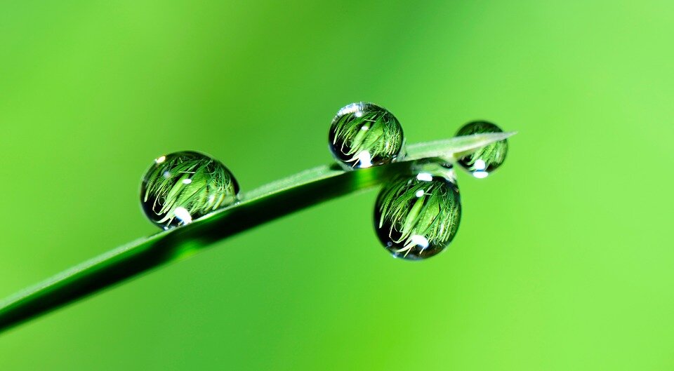 Фото pixabay.com