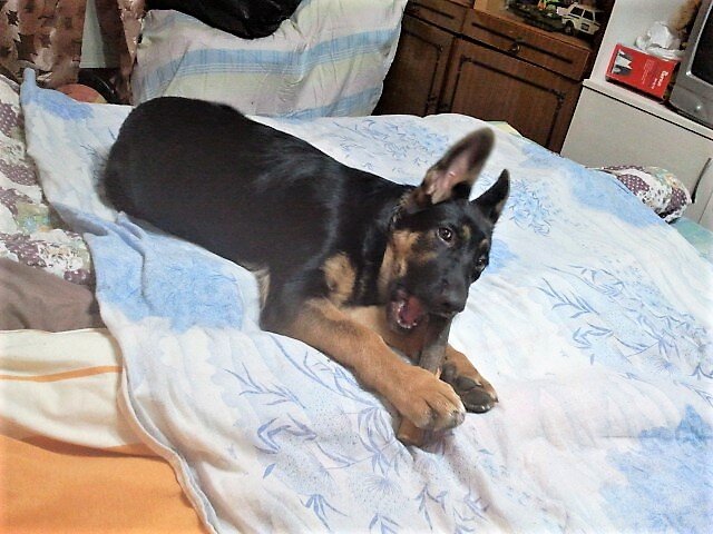 Медленно двигаемся на край дивана