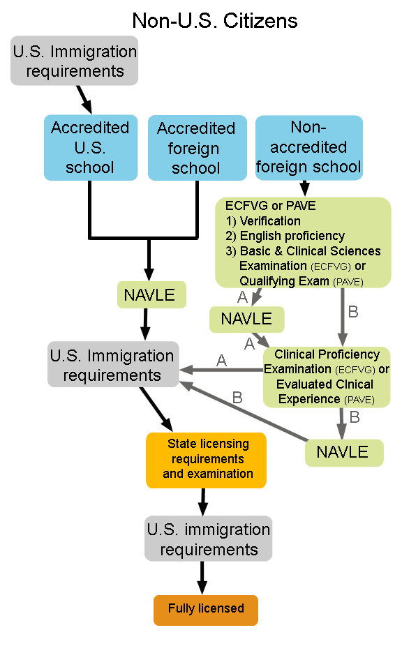Эта таблица наглядно объясняет нам в какую категорию мы попадаем (в non-accredited foreign school)