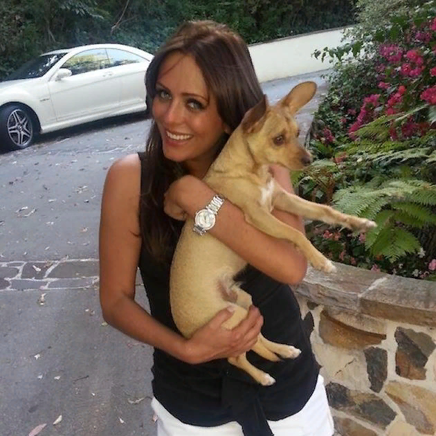 Фото из Твиттера:  @Julia_Nachalova. Именно об этой собачки выше и идёт речь. 