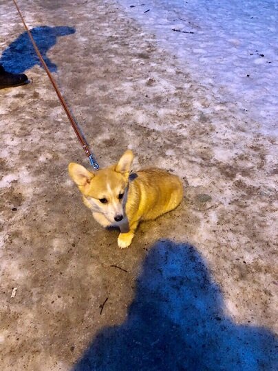 Иду в новый дом...