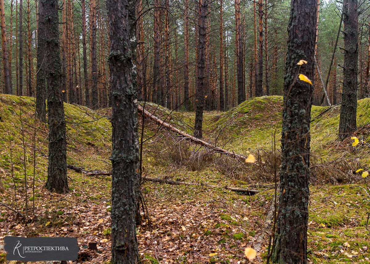 Остатки землянки на территории лагеря Суслонгер. Источник - https://vk.com/retrospektive