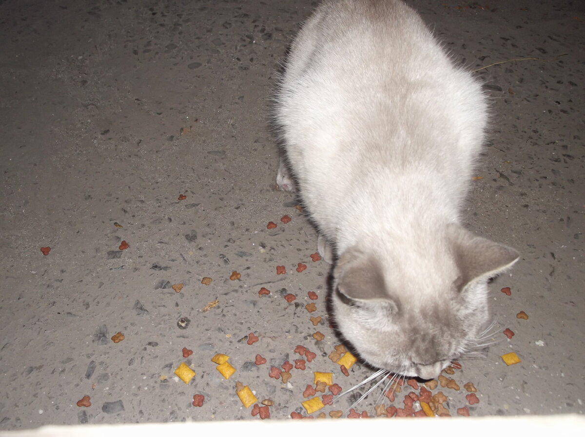 Наша первая встреча