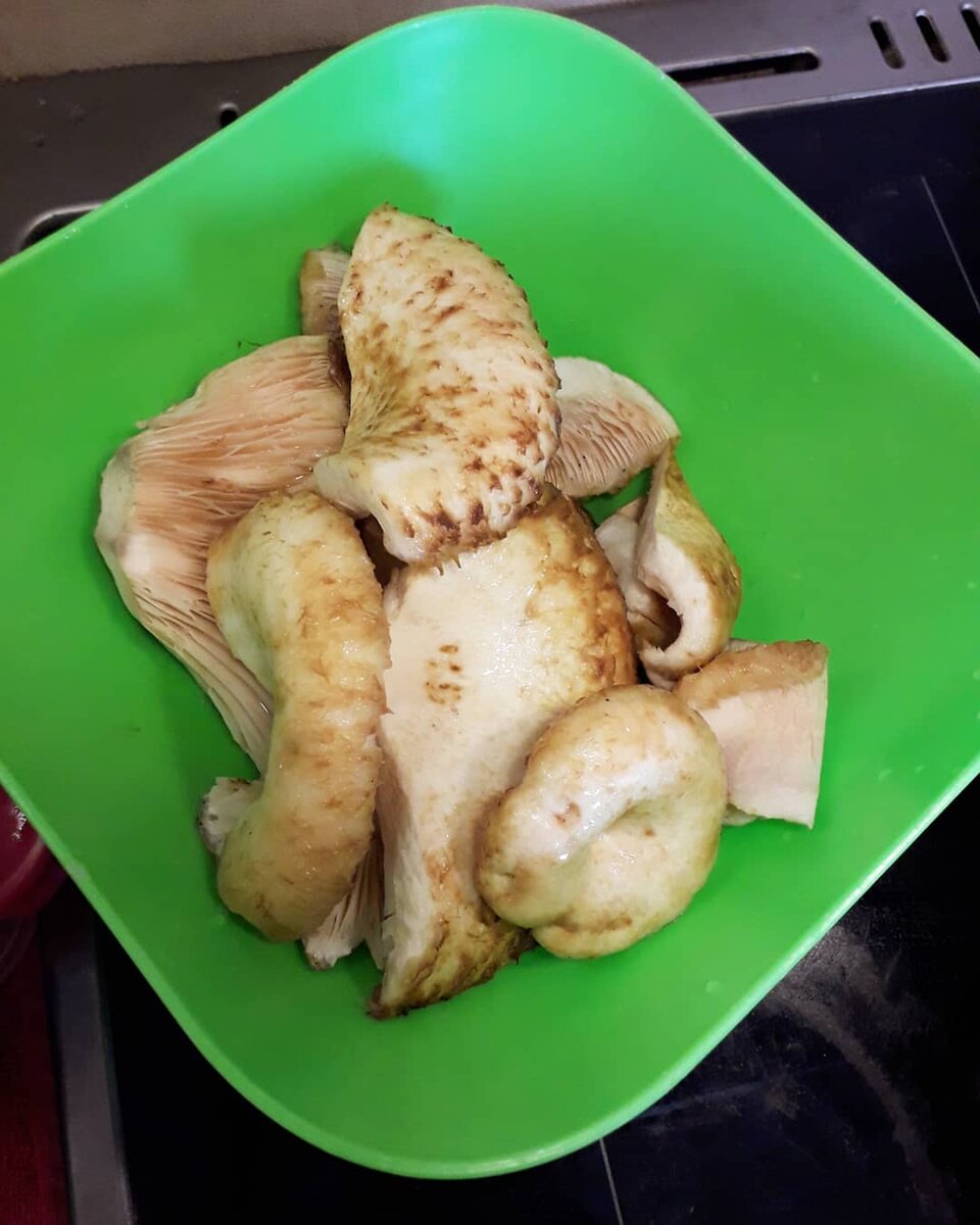 Наш улов)
