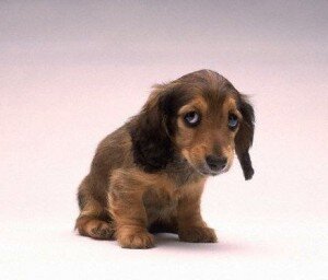 Я  больше не буду писать и какать. Мне страшно.