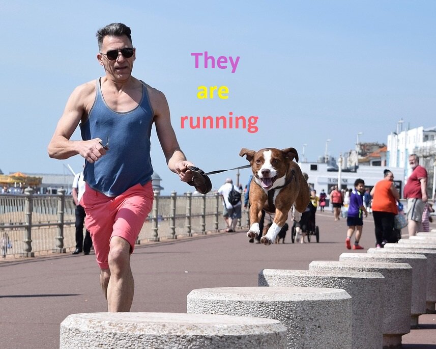 В процессе утренней пробежки. Pixabay.com