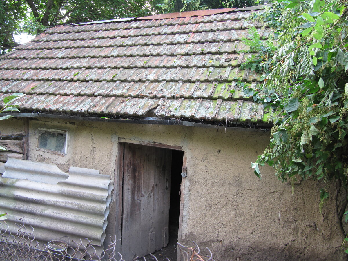 наш курятник