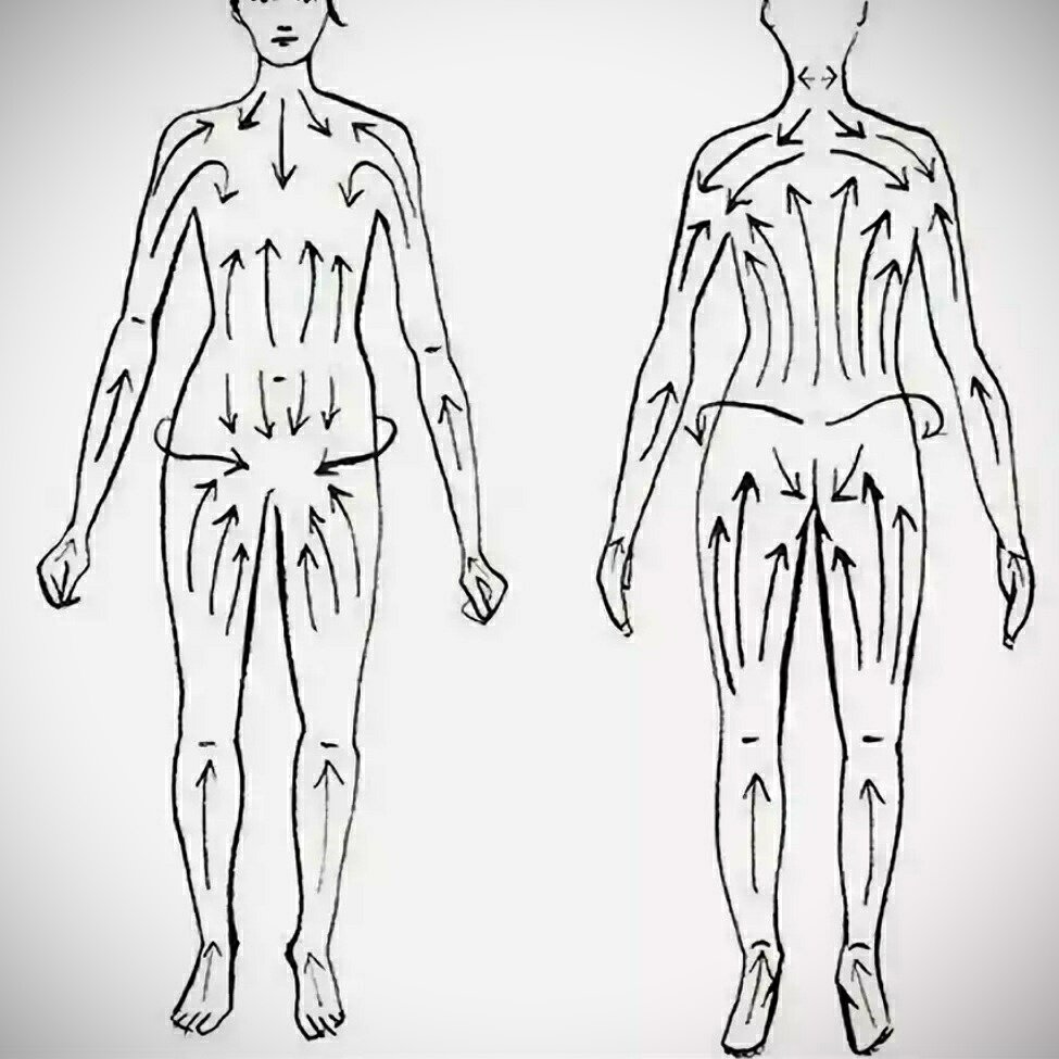Движение лимфы в организме человека схема массаж