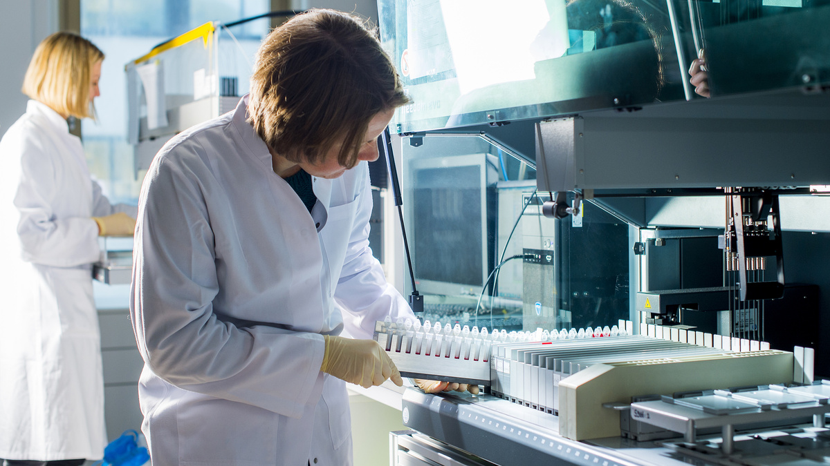 Фото: https://www.ikmb.uni-kiel.de