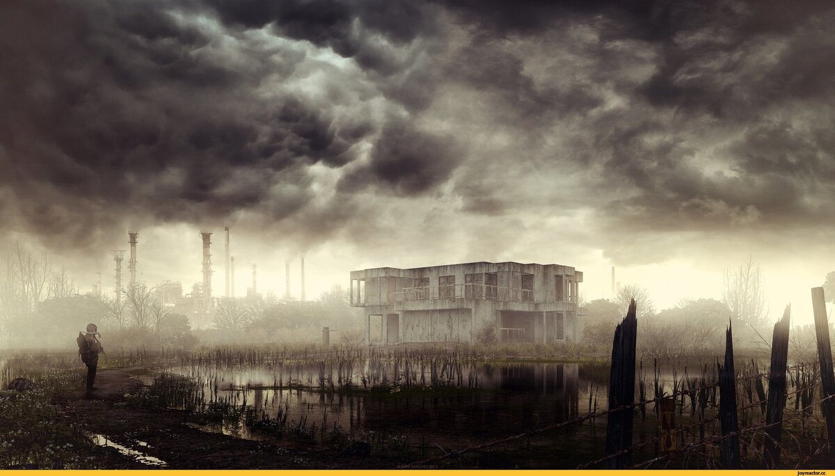 Фото из открытого источника 