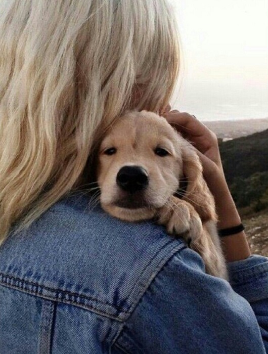 Источник: https://cdn.piccollage.com/imageassets/3a0dca1484d78a1300b7be341a1168a2/original.jpeg