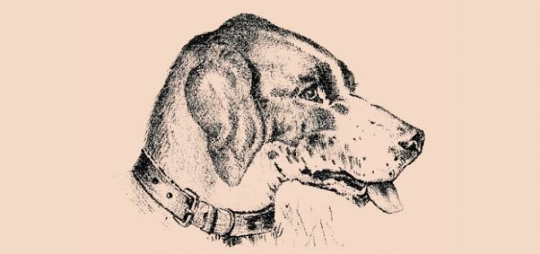 фото из интернета