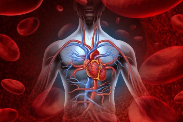 É assim que os vasos ficam sujos, de forma gradual. Se nunca limpou os seus vasos sanguíneos e tem mais de 40 anos, eles contêm muitas impurezas. Isto pode afetar a sua saúde ou talvez este processo já tenha iniciado.