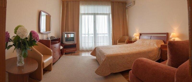 фото номера https://q-cf.bstatic.com/images/hotel/max1024x768/114/114611646.jpg
