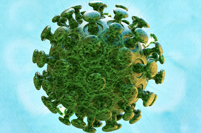 Фото: https://yandex.ua/collections/card/5e3465d3f05bf2cf5b907334/                                Коронавирус  COVID-19  