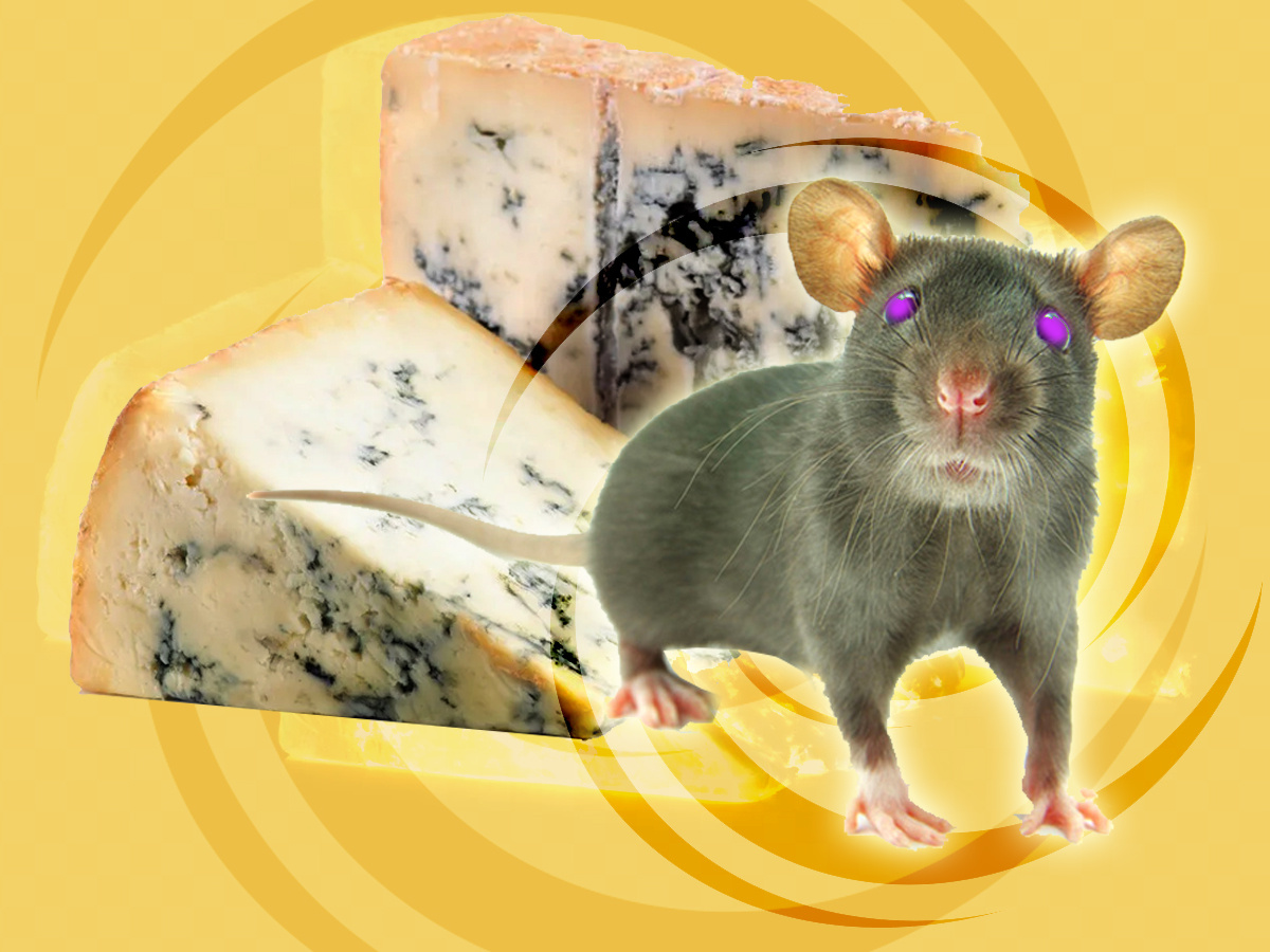 Твой вид, когда тебя поймали за поеданием сыра