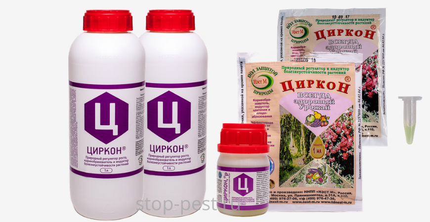 Чем отличается эпин от циркона. Эпин Экстра и циркон. Стимулятор циркон для растений. Циркон и Эпин для растений. Циркон биостимулятор роста
