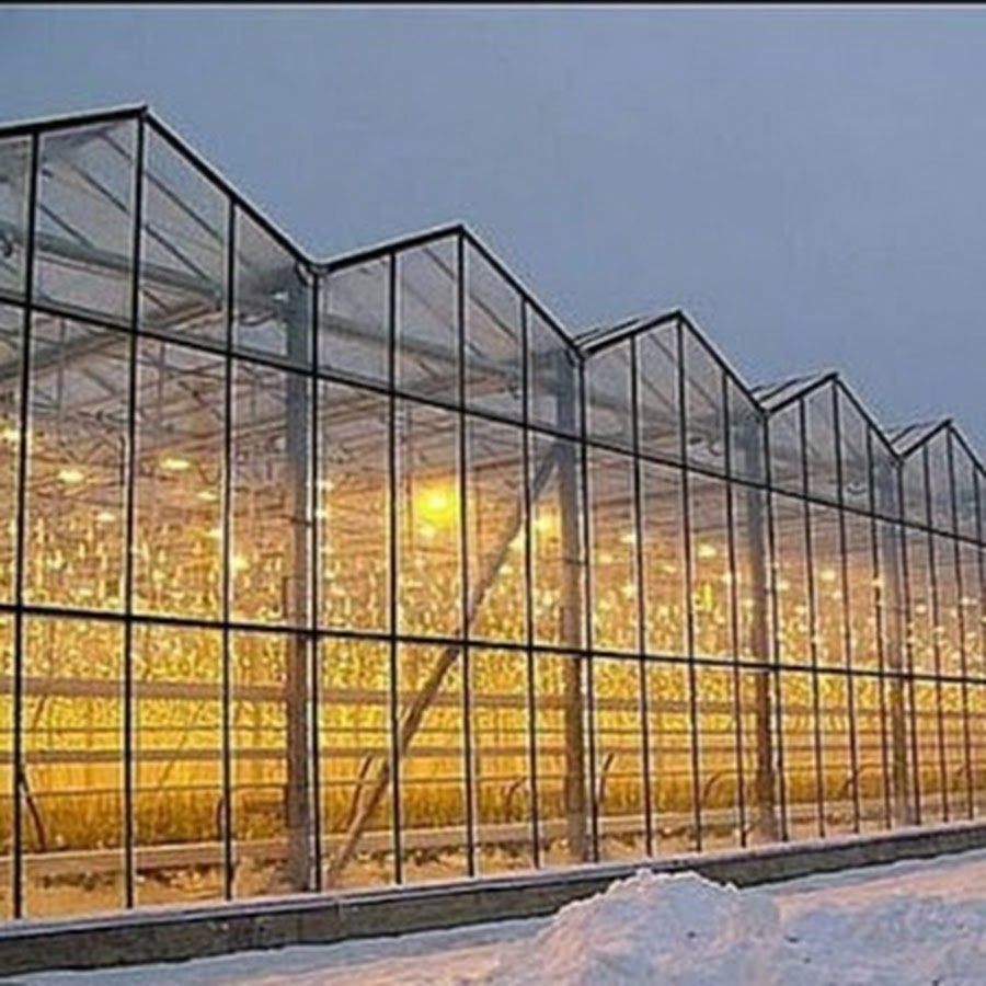 Теплица Алтайский край